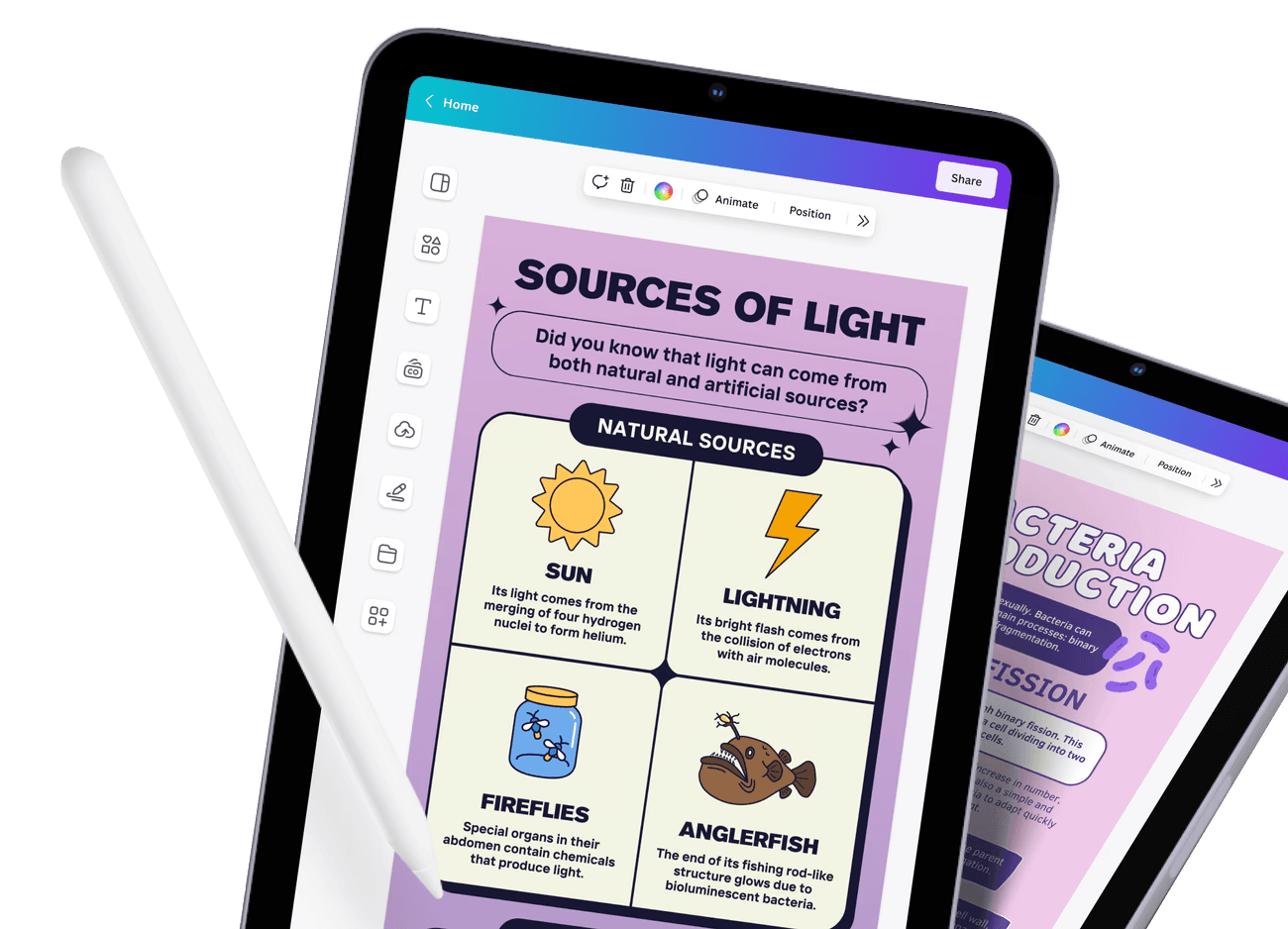 Canva Mockup